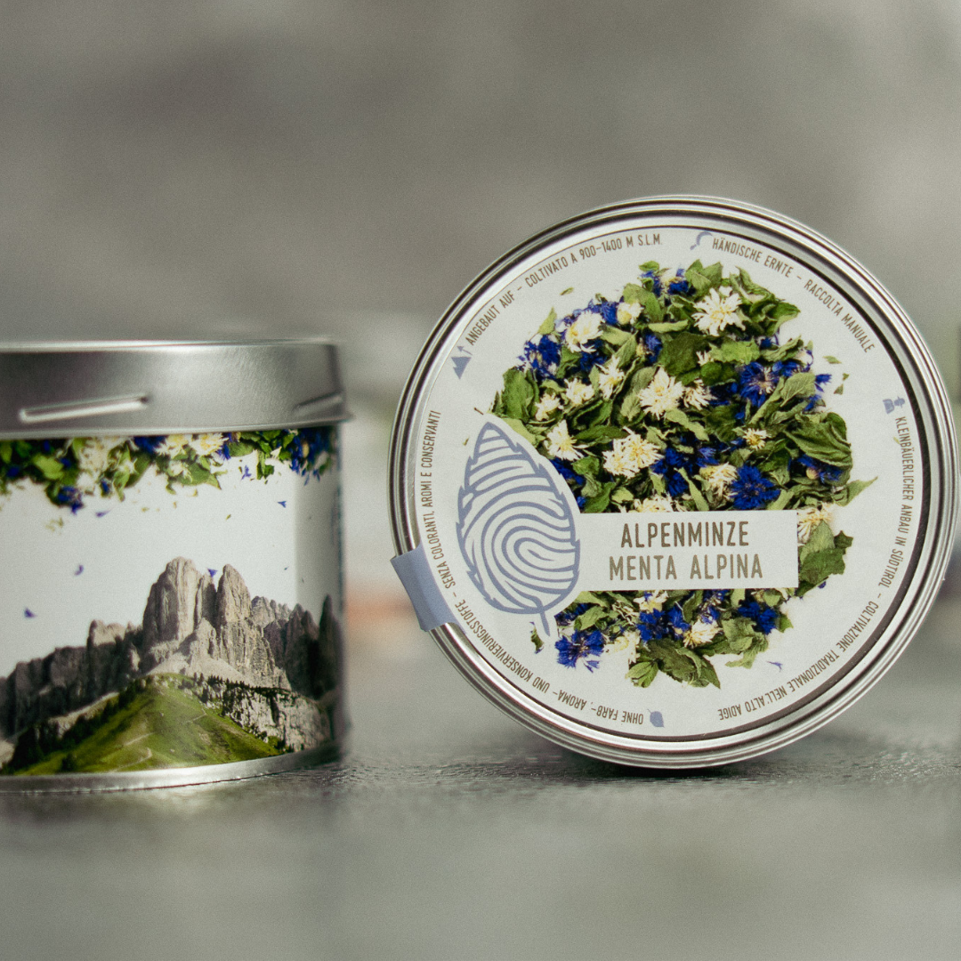Alpenminze – Erfrischender Kräutertee aus Südtirol